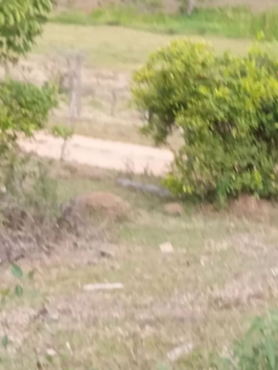 Terreno oportunidade  - Foto 4
