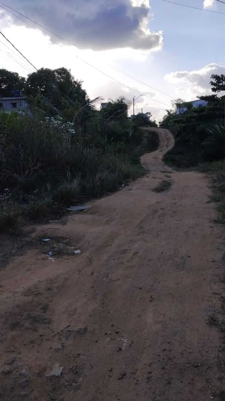 Terreno em Tiuma - Foto 3