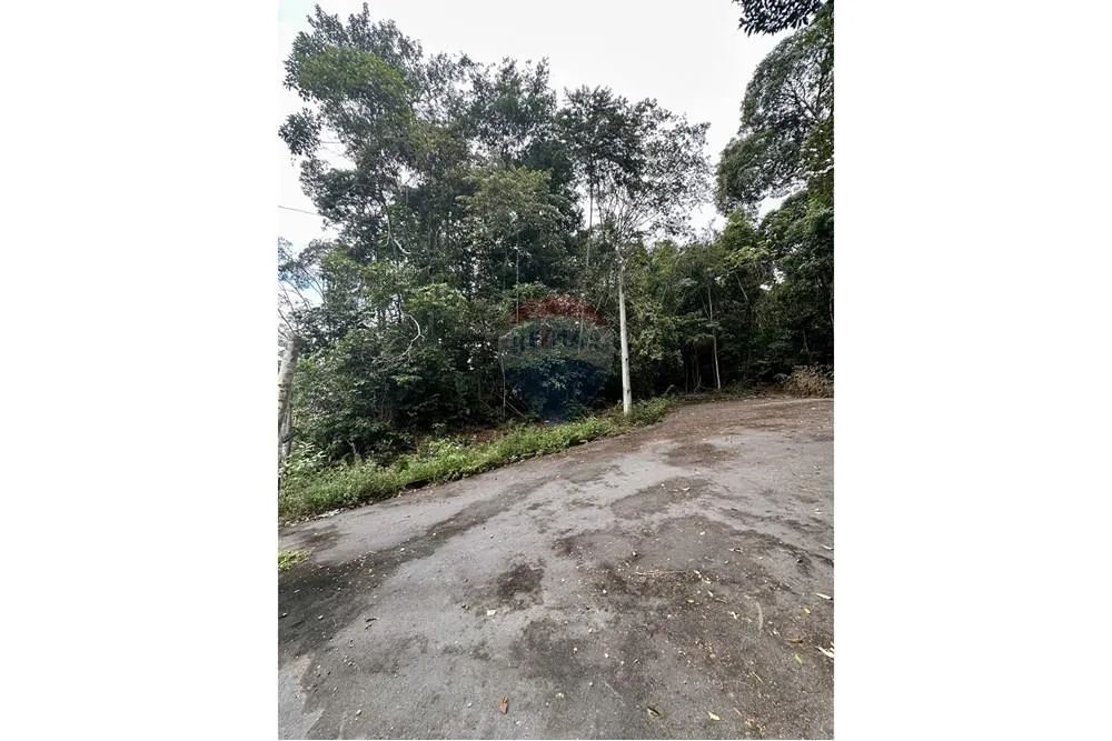 Lote Exclusivo: Preço Imperdível no Bosque Palmas! - Foto 2