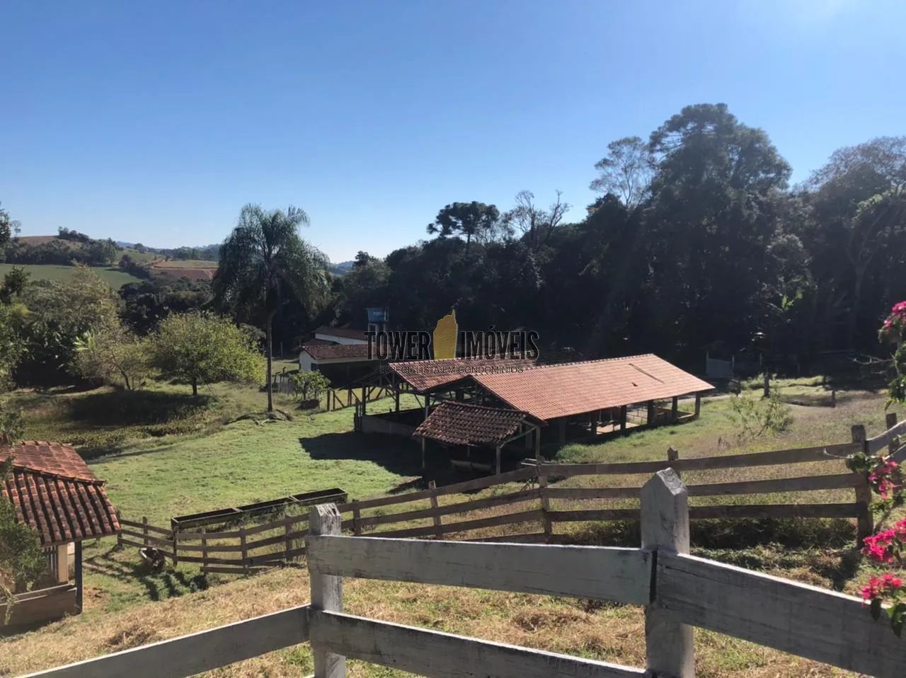 sítio - Rio Verde - Caldas - Foto 5