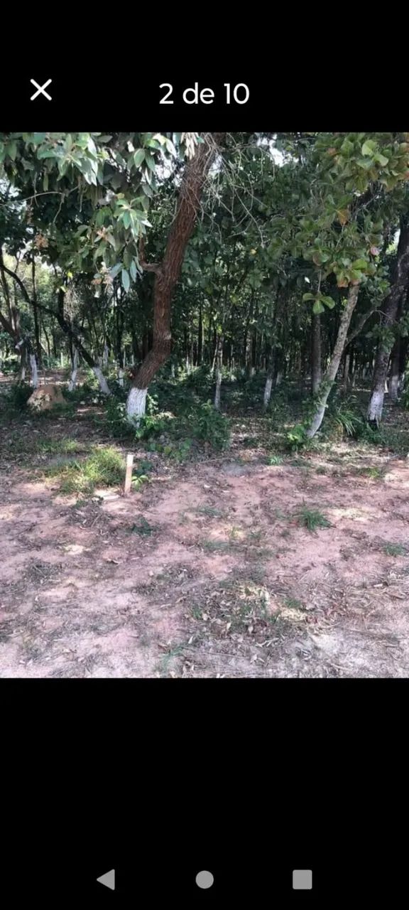 ? TERRENO AMPLO (1.180m²) NO BANANAL ? - Foto 5