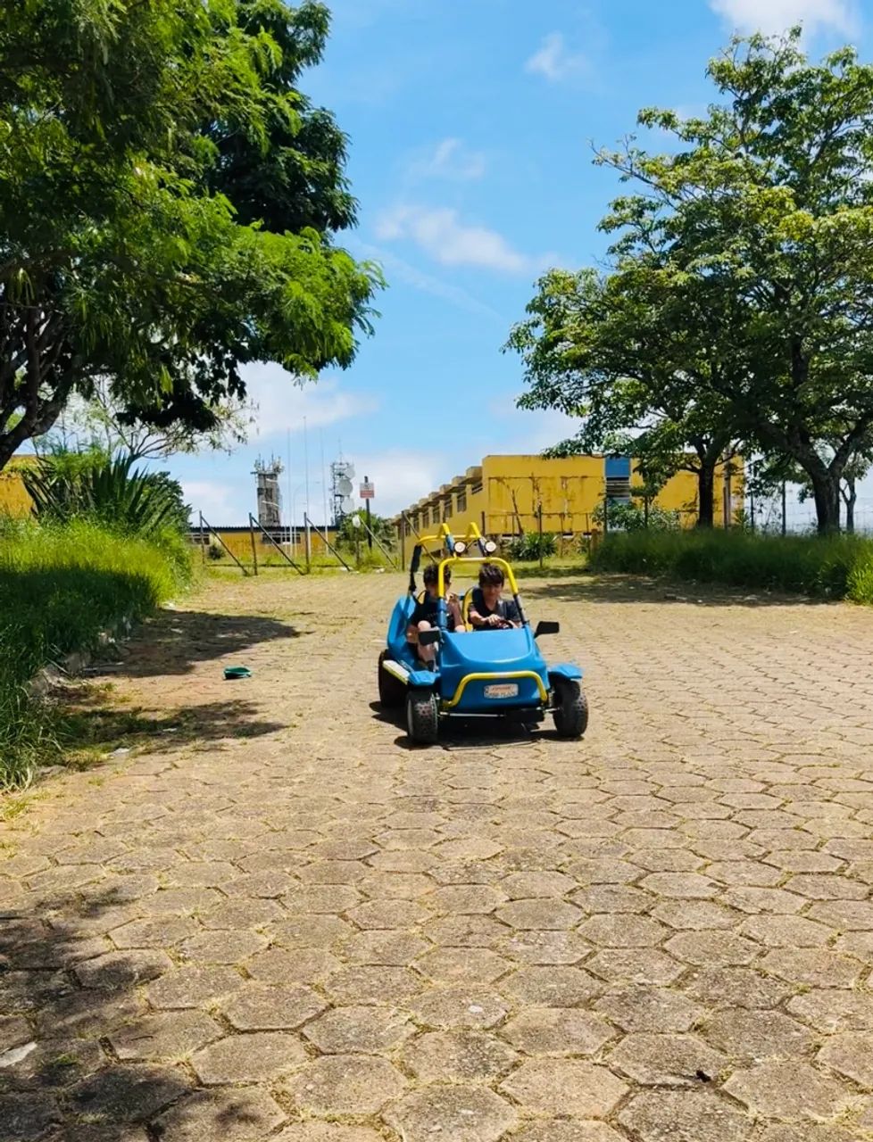 Mini Bug Fapinha