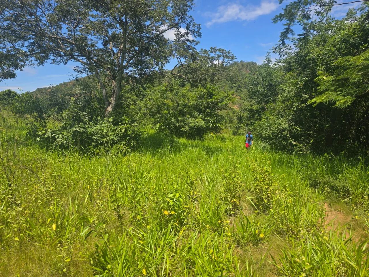 Foto - Brasília - Setor Norte (Planaltina)