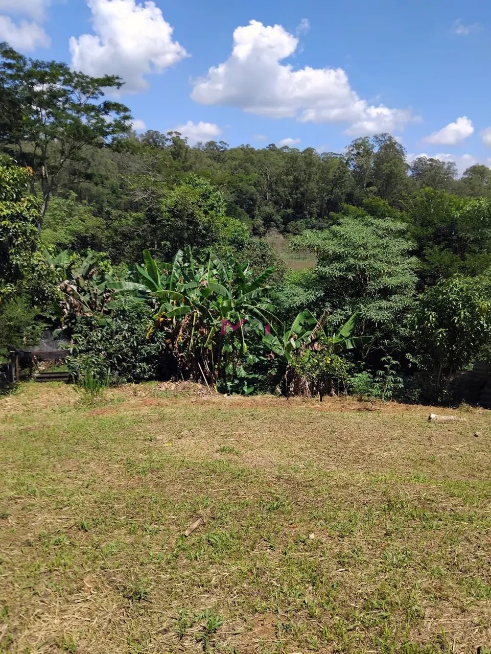CHÁCARA À VENDA - CAJAMAR/SP - Foto 4