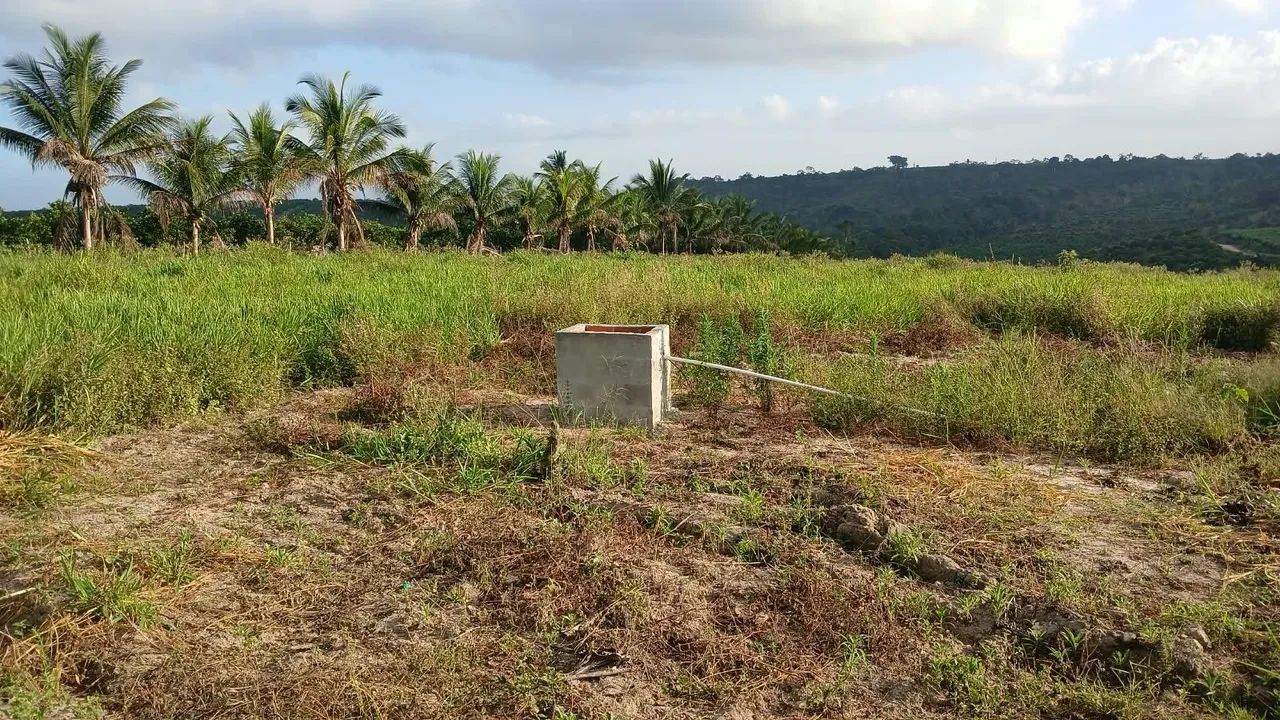 TERRENO / SÍTIO / FAZENDS - Foto 3