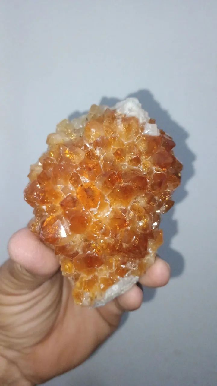 Flor de citrino queimado  - Foto 3