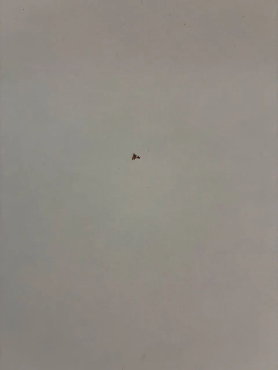 Escrivaninha negociável ótimo estado - Foto 3