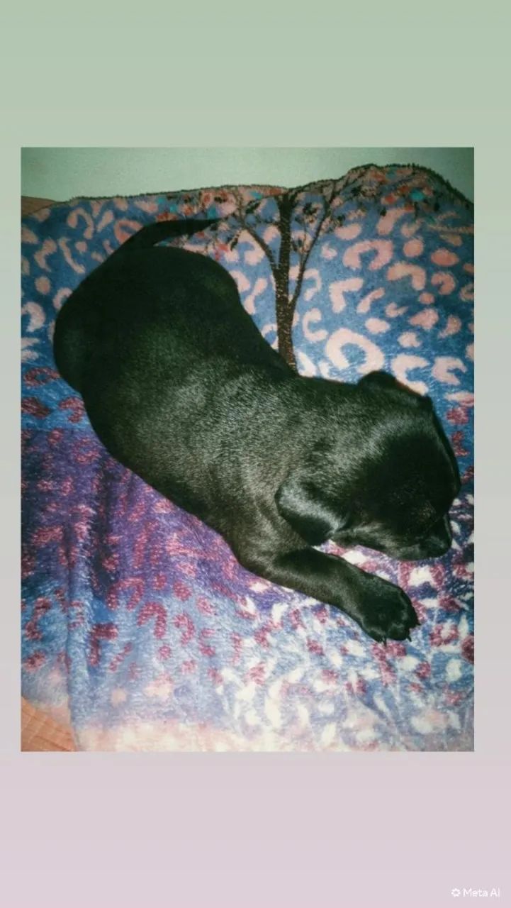 Doação dessa bebê linda? - Foto 3