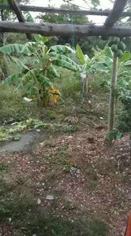 Terreno na BR prox Trevo Tijucal
