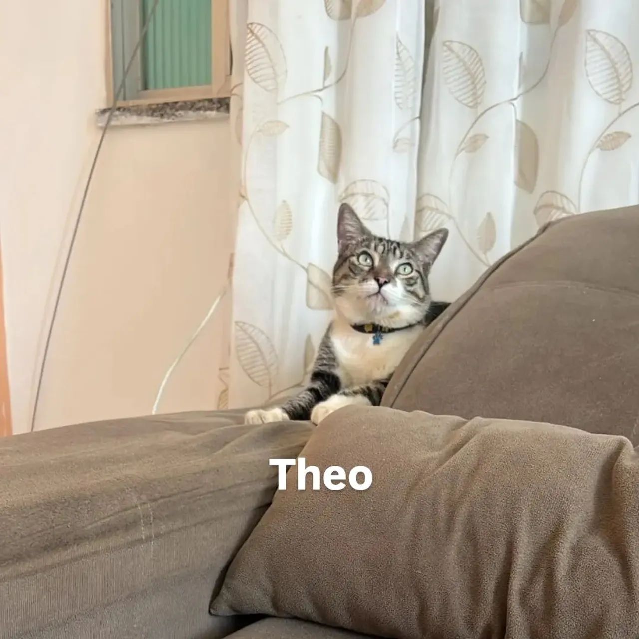 Doação 