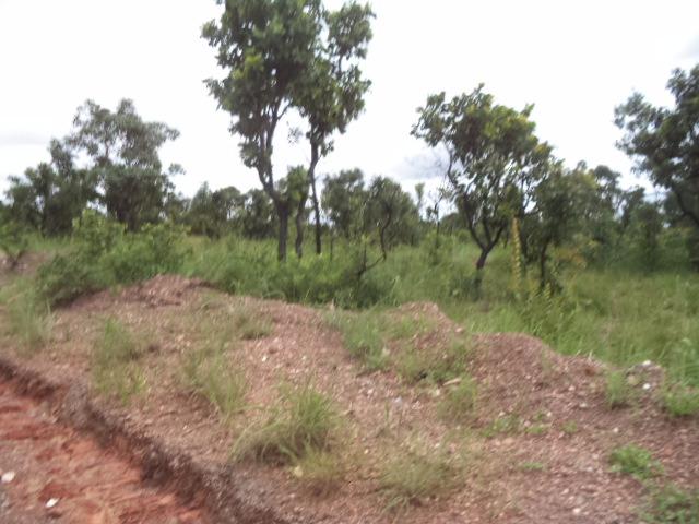 Chacara sentido estrada Guia - Foto 2