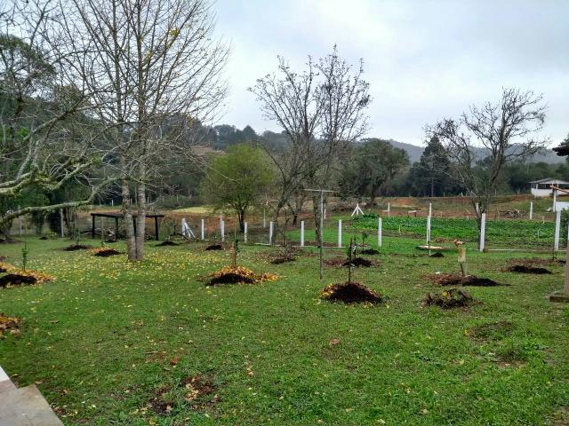 Lindo sítio terra boa - Foto 12