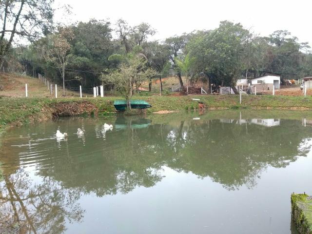 Lindo sítio terra boa - Foto 8