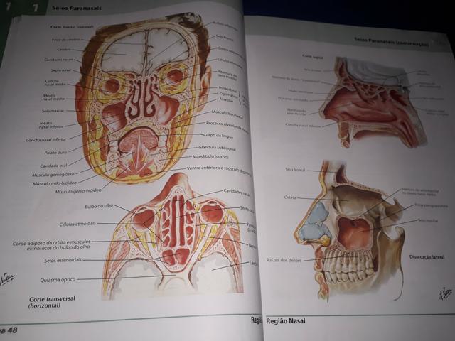 Dois Atlas de Anatomia Humana do Netter - volumes 1 e 2 - Foto 4