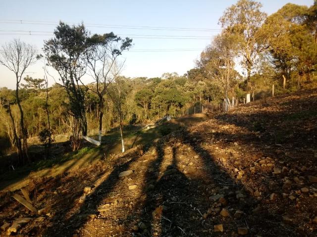 Excelente area para chacrinha com 4.675m² ( 85:00x 55:00 m) - Foto 6