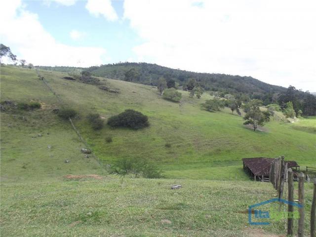 Fazenda à venda, 2790000 m² por r$ 1.800.000,00 - centro - cravolândia/ba - Foto 11