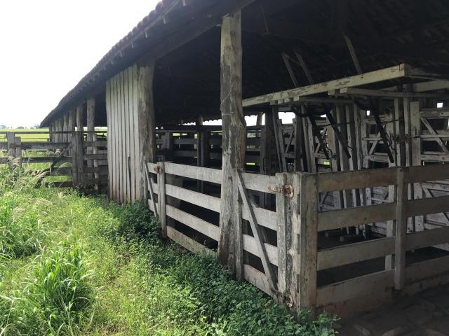 Vende-se Fazenda na Cidade de Dirce Reis-SP - Foto 16