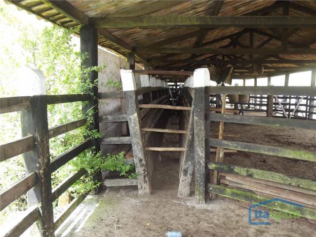 Fazenda à venda, 2790000 m² por r$ 1.800.000,00 - centro - cravolândia/ba - Foto 18