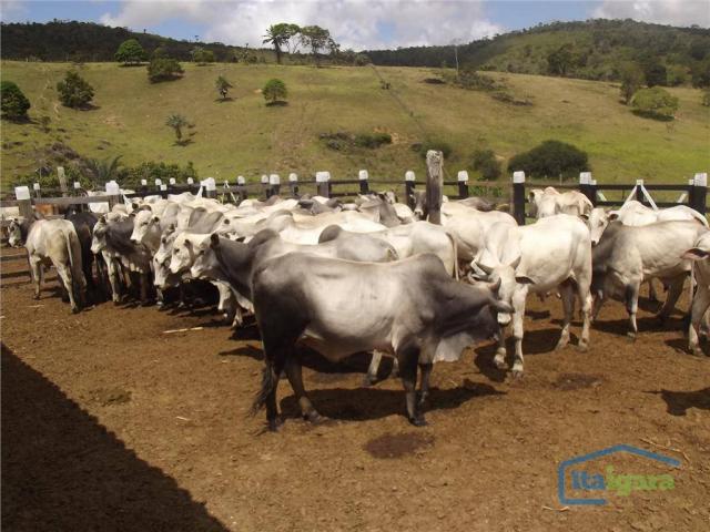 Fazenda à venda, 2790000 m² por r$ 1.800.000,00 - centro - cravolândia/ba - Foto 20