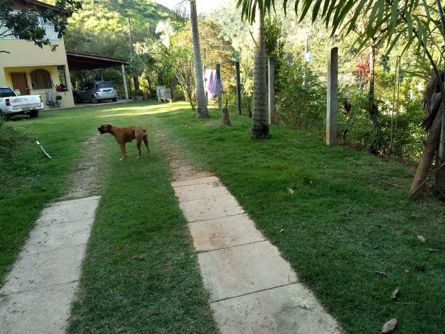 Sitio em campinhos, de domingos Martins - Foto 2