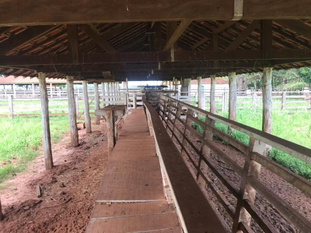 Vende-se Fazenda na Cidade de Dirce Reis-SP - Foto 18