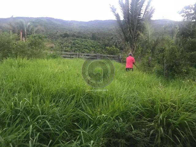 Sitio na região de santo antonio - Foto 7