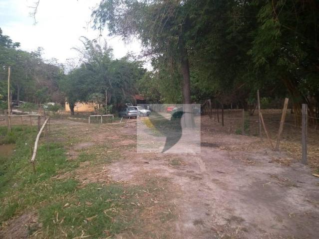Chácara com 2 dormitórios à venda, 13200 m² por r$ 250.000 - jardim rivera - Foto 8