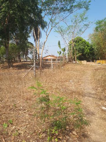 Sitio beira do rio cuiaba em Acorizal-MT - Foto 19