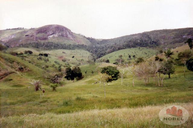 Chácara à venda em Zona rural, Castro alves cod:4570 - Foto 9