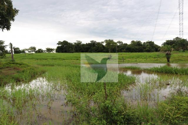 Chácara à venda, 127340 m² por r$ 249.500 - zona rural - rondonópolis/mato grosso - Foto 14