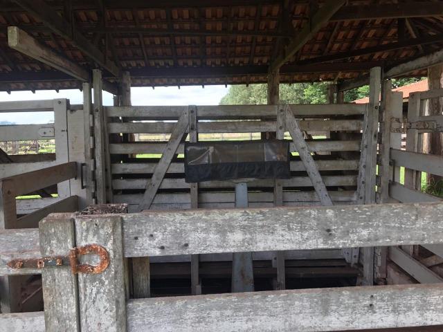 Vende-se Fazenda na Cidade de Dirce Reis-SP - Foto 15