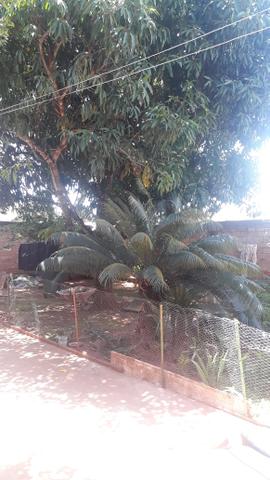 Casa Setor Castros - Senador Canêdo - Foto 2
