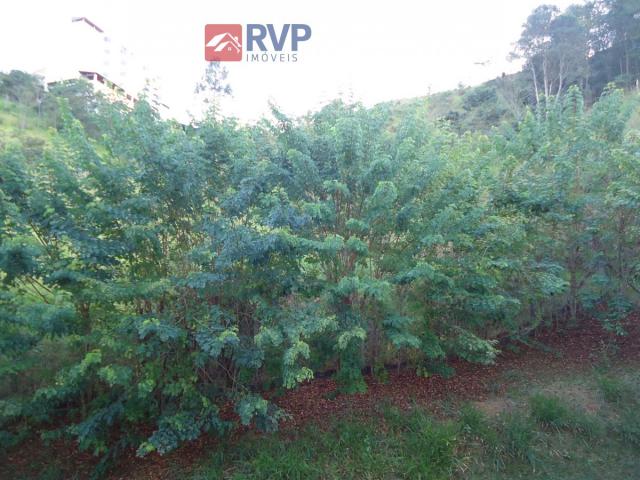 Apartamento, Recanto da Mata, Juiz de Fora-MG - Foto 11