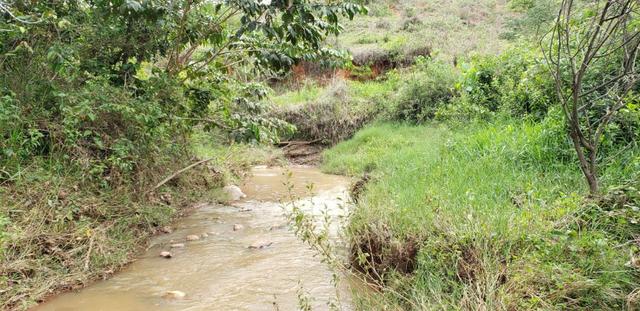 Fazenda 295 hectares próximo de Governador ValadaresMG - Foto 4