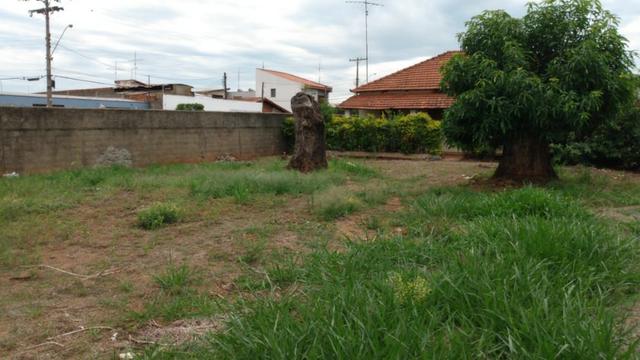 Terreno com 508m² na Av. da Saudade, em Cosmópolis-SP. (TE0084) - Foto 3