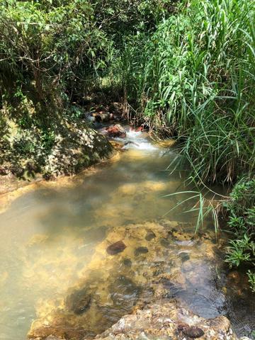 Sérgio Soares Vende: Linda chácara na Ponte Alta 3 hectares - Foto 8