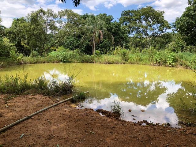 Sérgio Soares Vende: Linda chácara na Ponte Alta 3 hectares - Foto 5