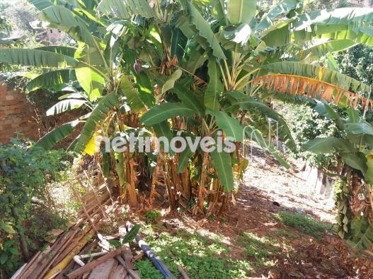 Casa à venda com 3 dormitórios em Califórnia, Belo horizonte cod:427395 - Foto 18