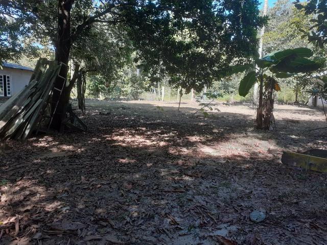 Lindo terreno