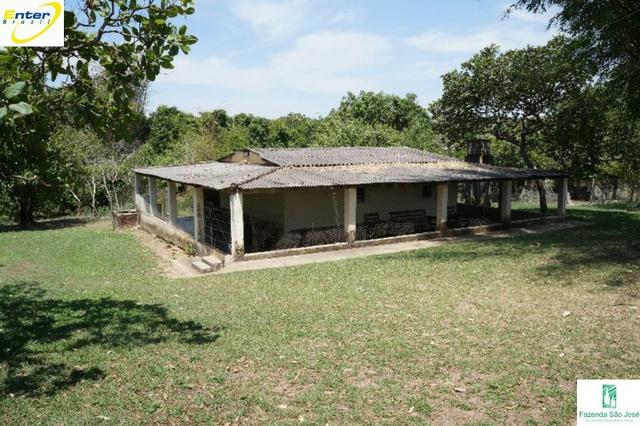 Fazenda- 69,33 hectares- Santo Antônio do Descoberto - Foto 4
