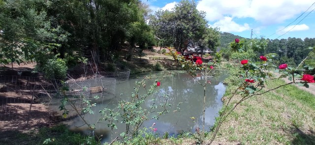 Chácara prontinha com açúde e roças, frutíferas  - Foto 2