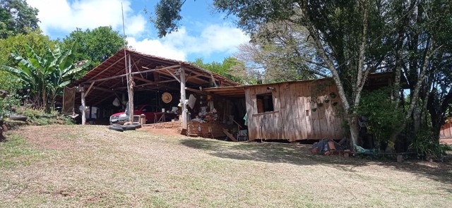 Chácara prontinha com açúde e roças, frutíferas  - Foto 3