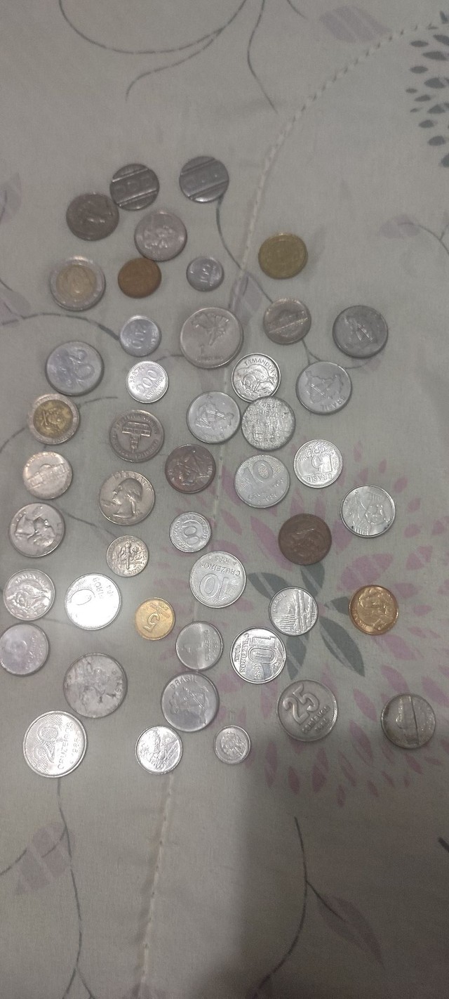 Coleção  - Foto 4