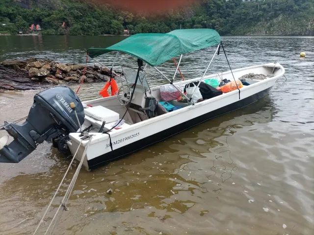 Motor 40 4 Tempos 2019  com 300 horas de uso 