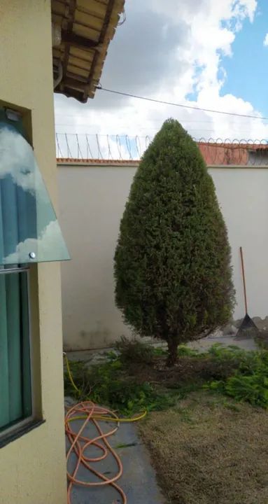 Jardinagem/paisagismos