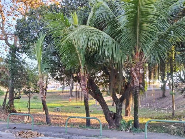 foto - Rio de Janeiro - Campo Grande