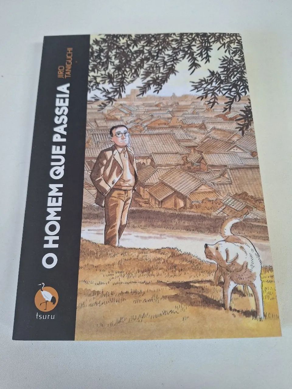 O Homem que Passeia - Jiro Taniguchi