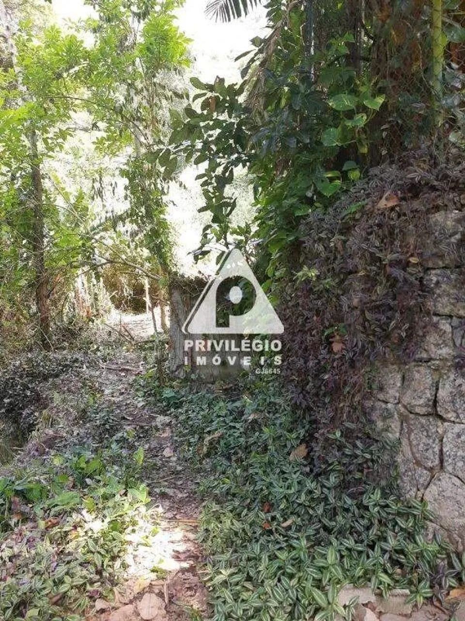 Excelente terreno no Cosme Velho - Foto 3