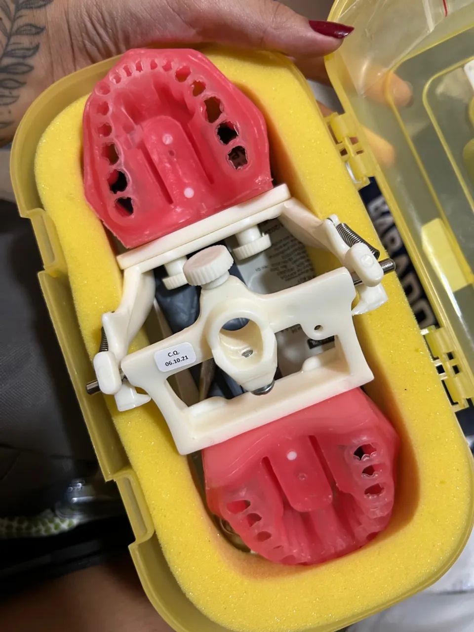 Manequim Endodontia - Odontologia - Foto 2