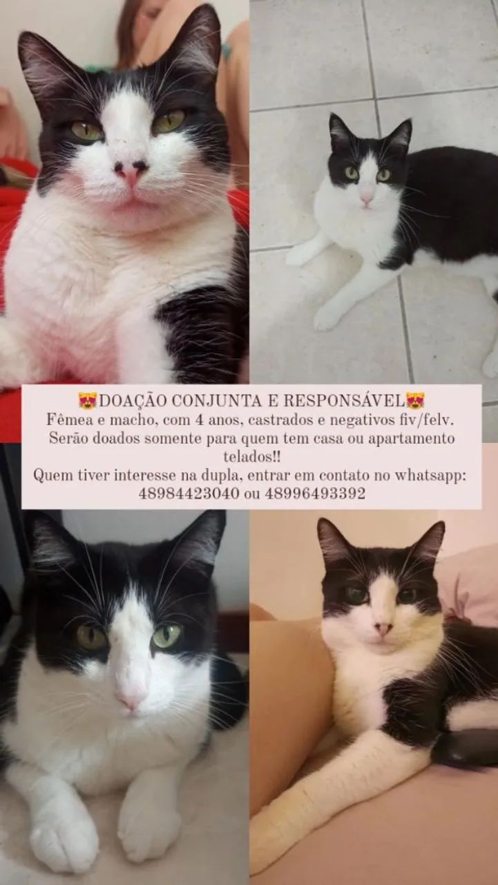 Doação conjunta e responsável 